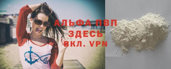 стаф Арсеньев