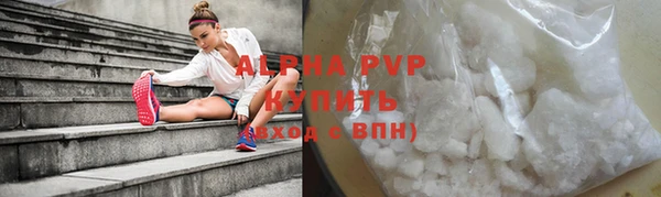стаф Арсеньев