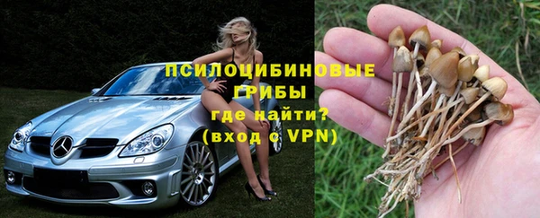 сатива Балахна