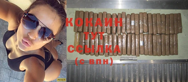 сатива Балахна