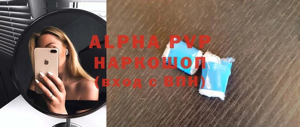 стаф Арсеньев
